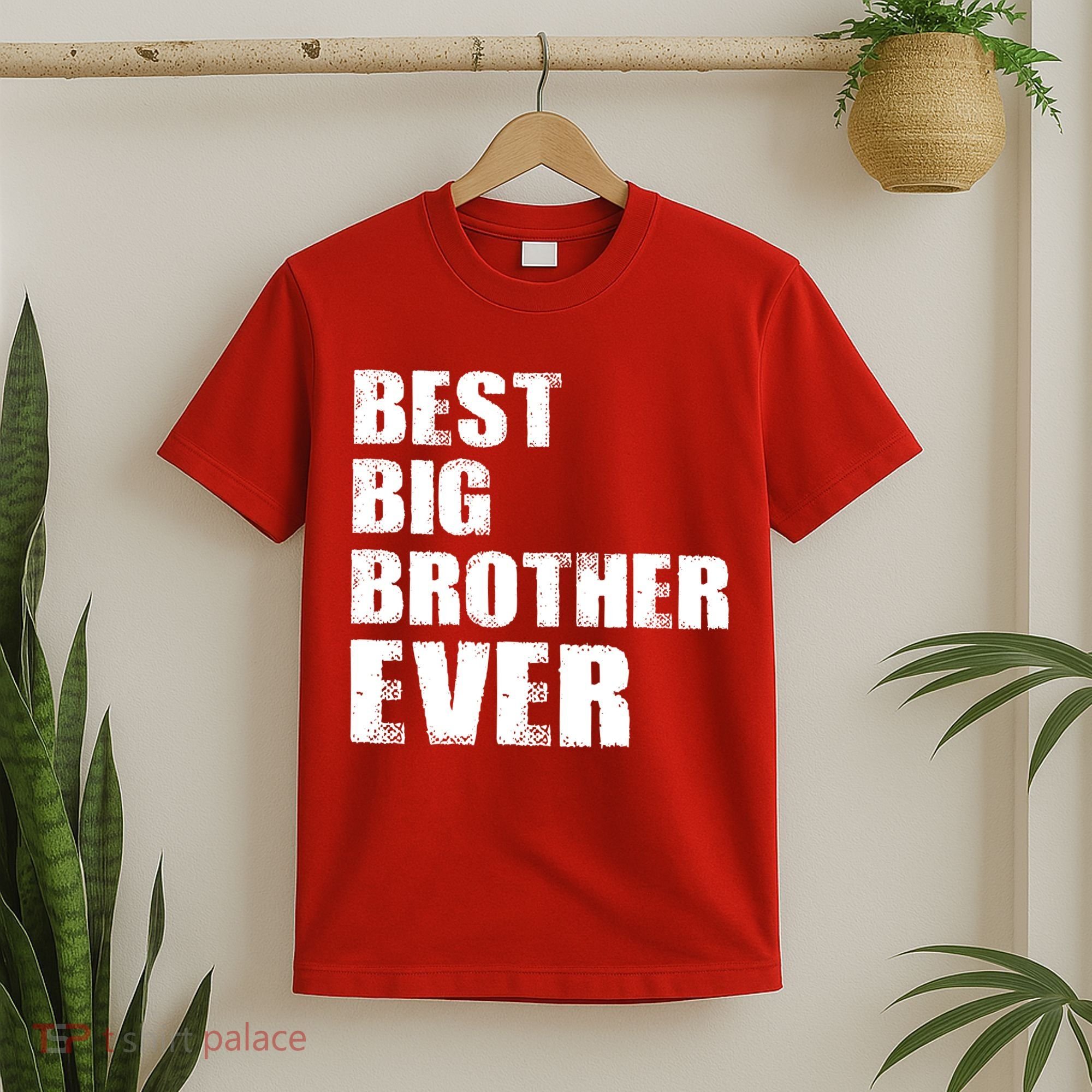 Best Big Brother Ever T-Shirt