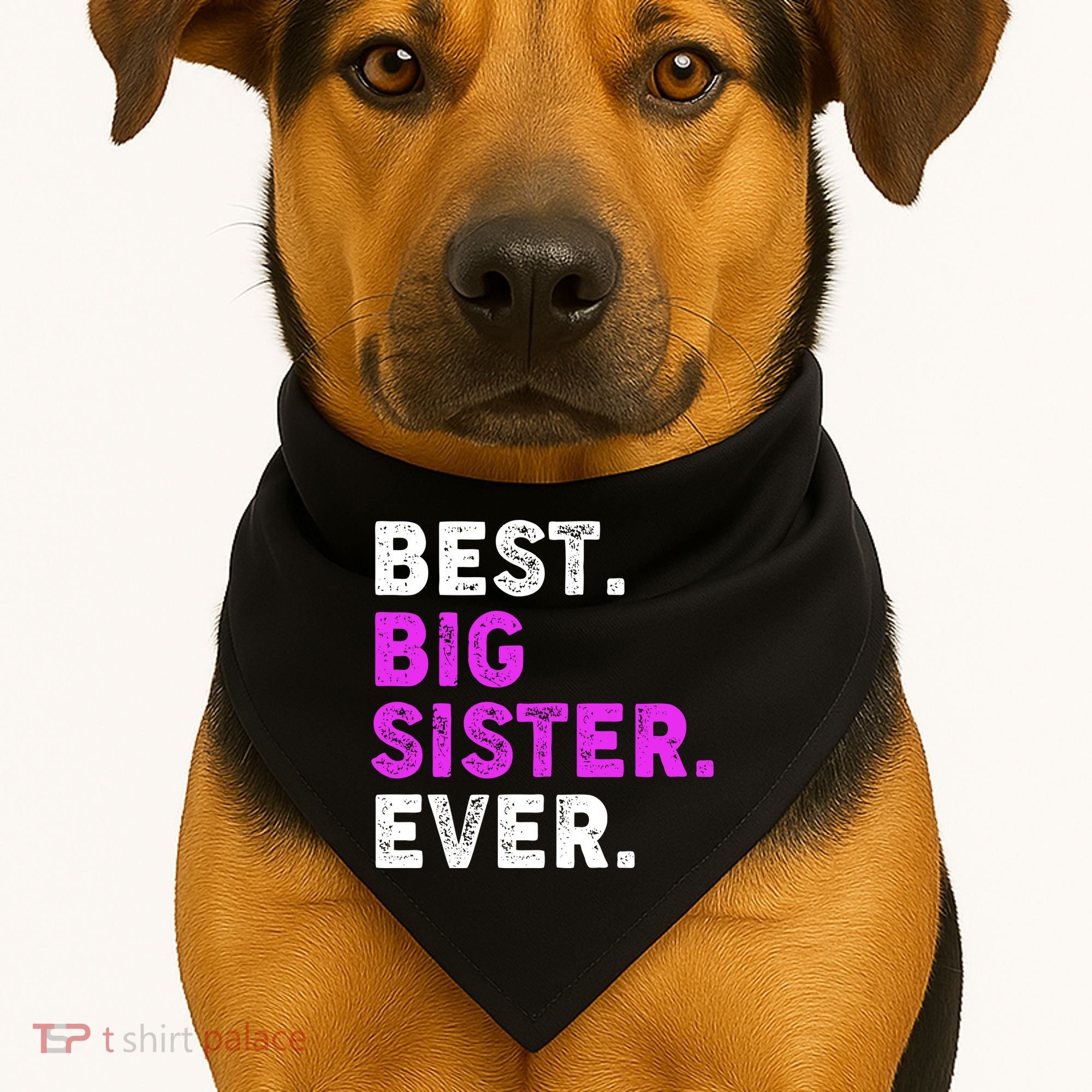 Best Big Sister Ever Older Sibling USA-Made Doggie Bandana