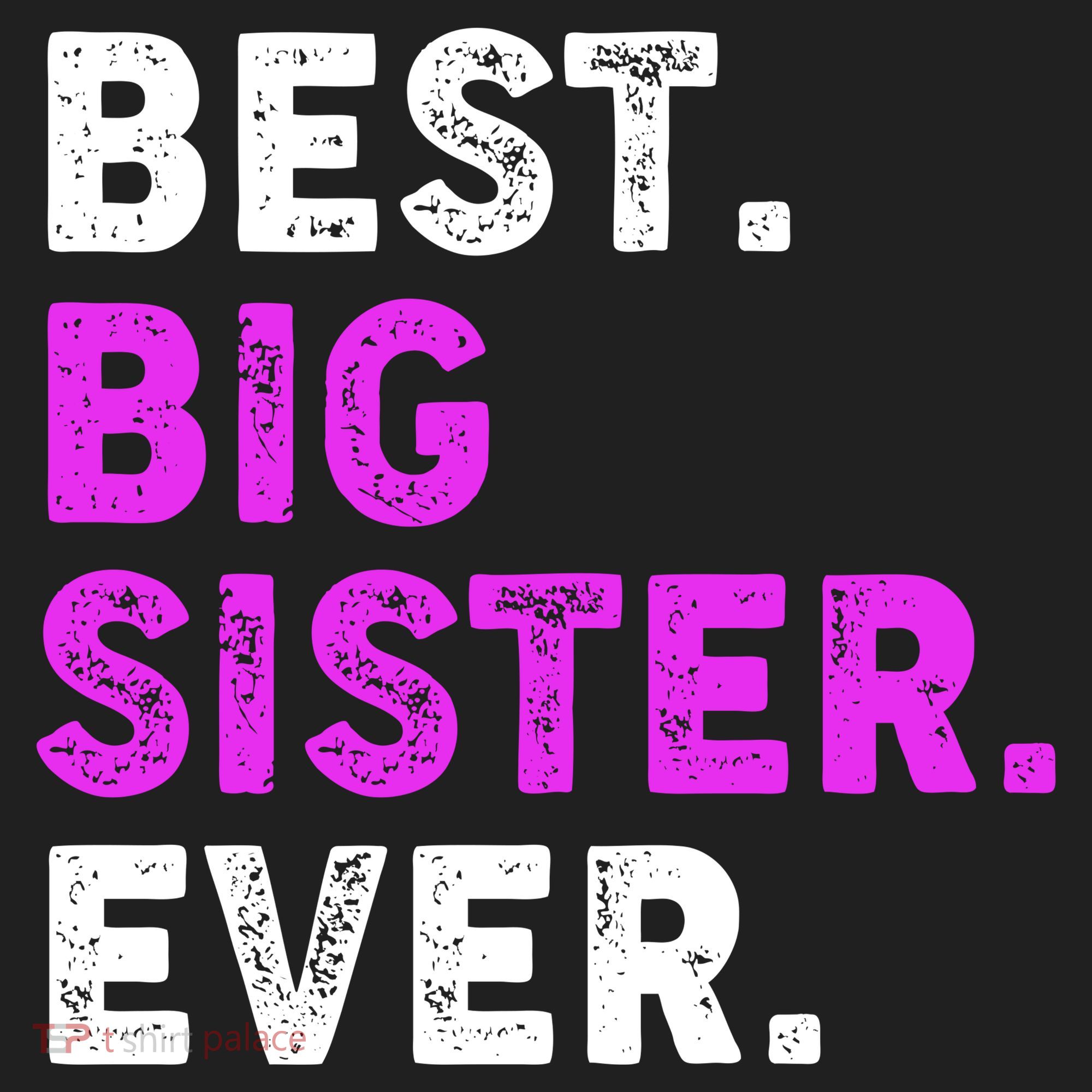 Best Big Sister Ever Older Sibling Tumbler