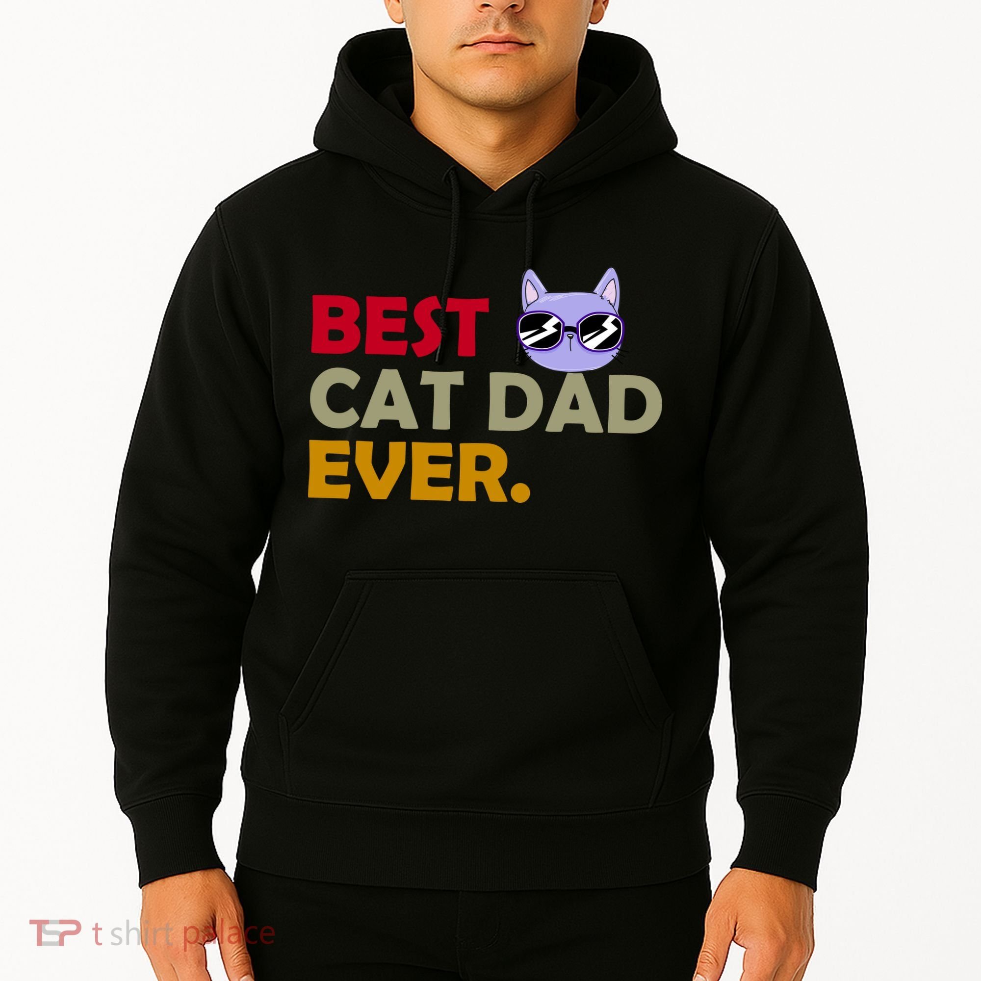 Best Cat Dad Ever Funny Cat Lover Hoodie