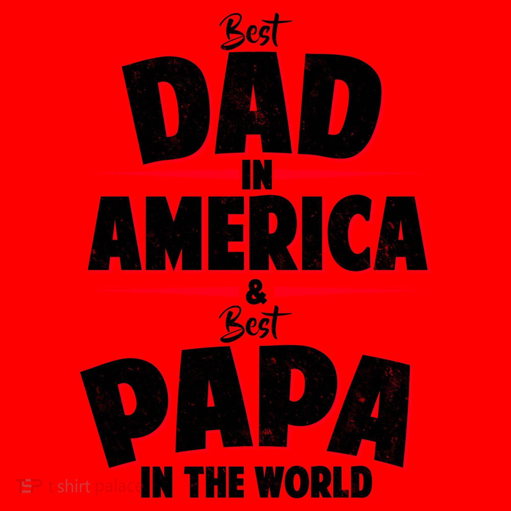Best Dad In America & Best Papa In The World Santa Hat