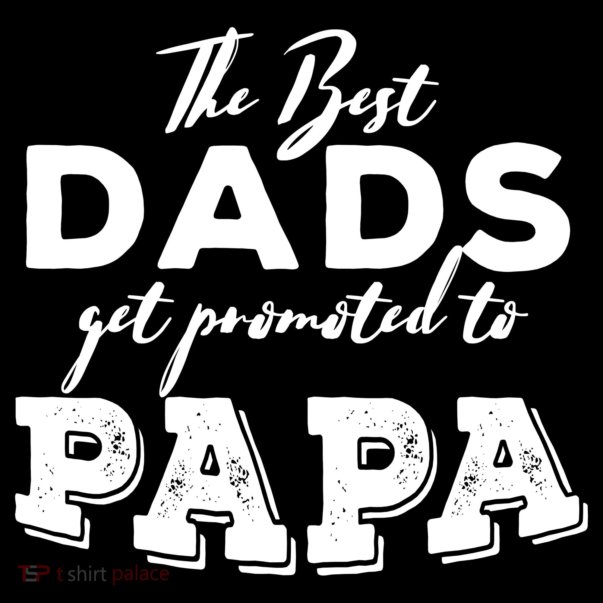 Best Dads Promoted To Papa Funny Gift Ornament