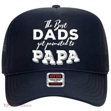 Best Dads Promoted To Papa Funny Gift Hat