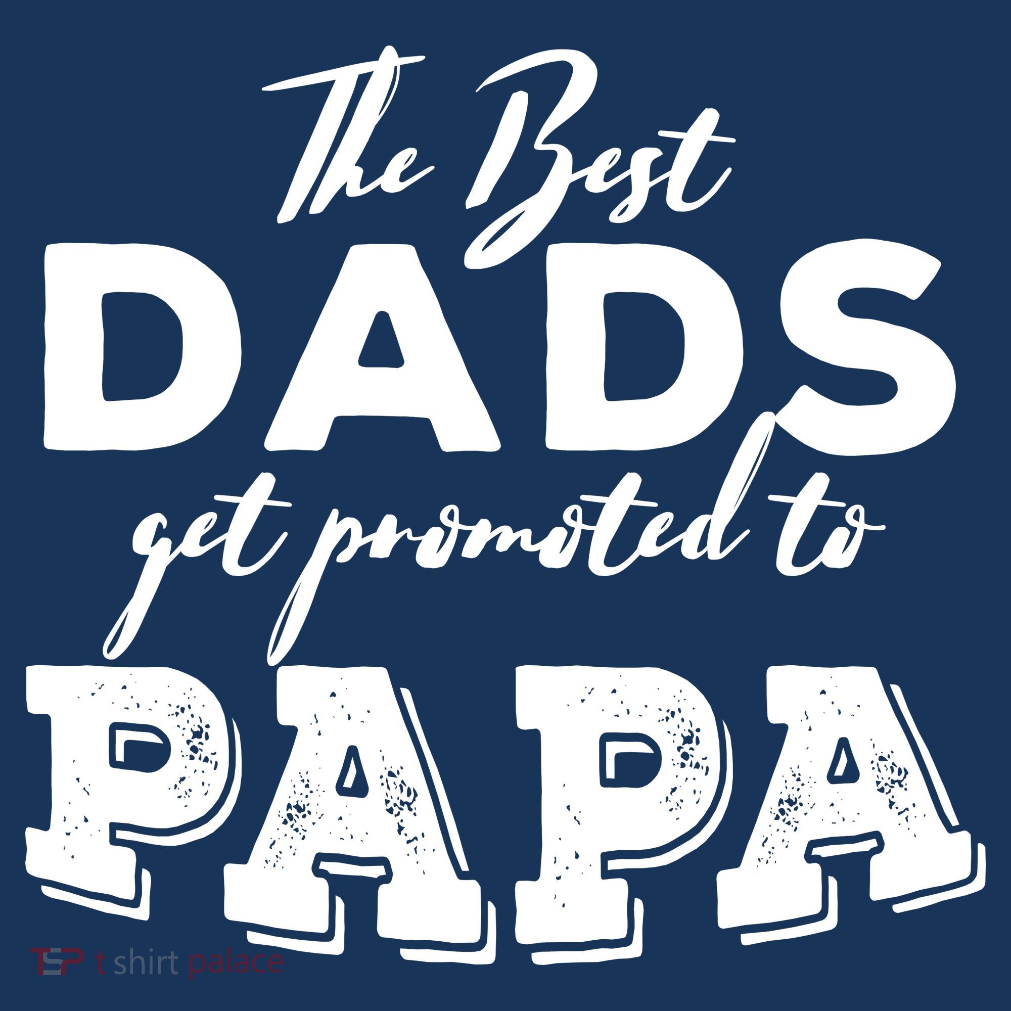 Best Dads Promoted To Papa Funny Gift Women's T-Shirt