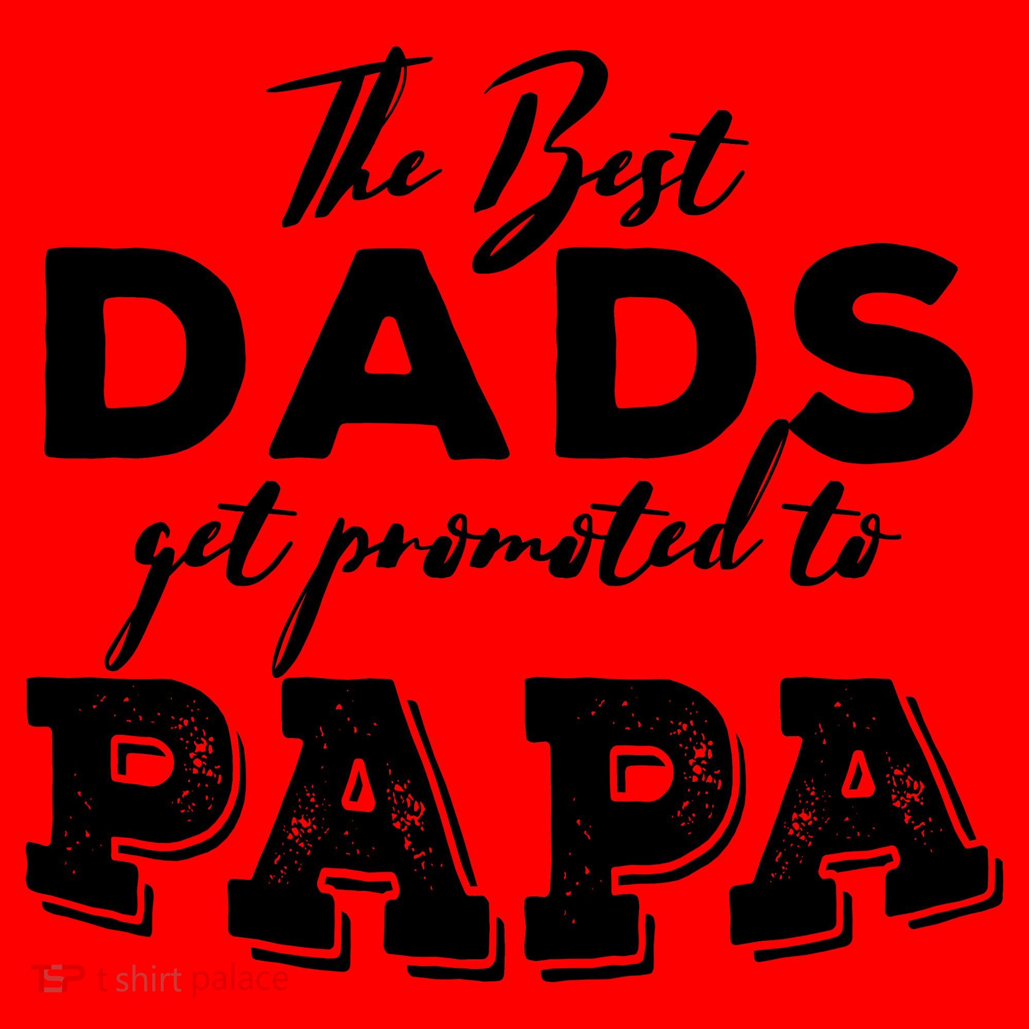 Best Dads Promoted To Papa Funny Gift Santa Hat