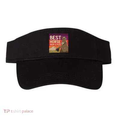 Visor