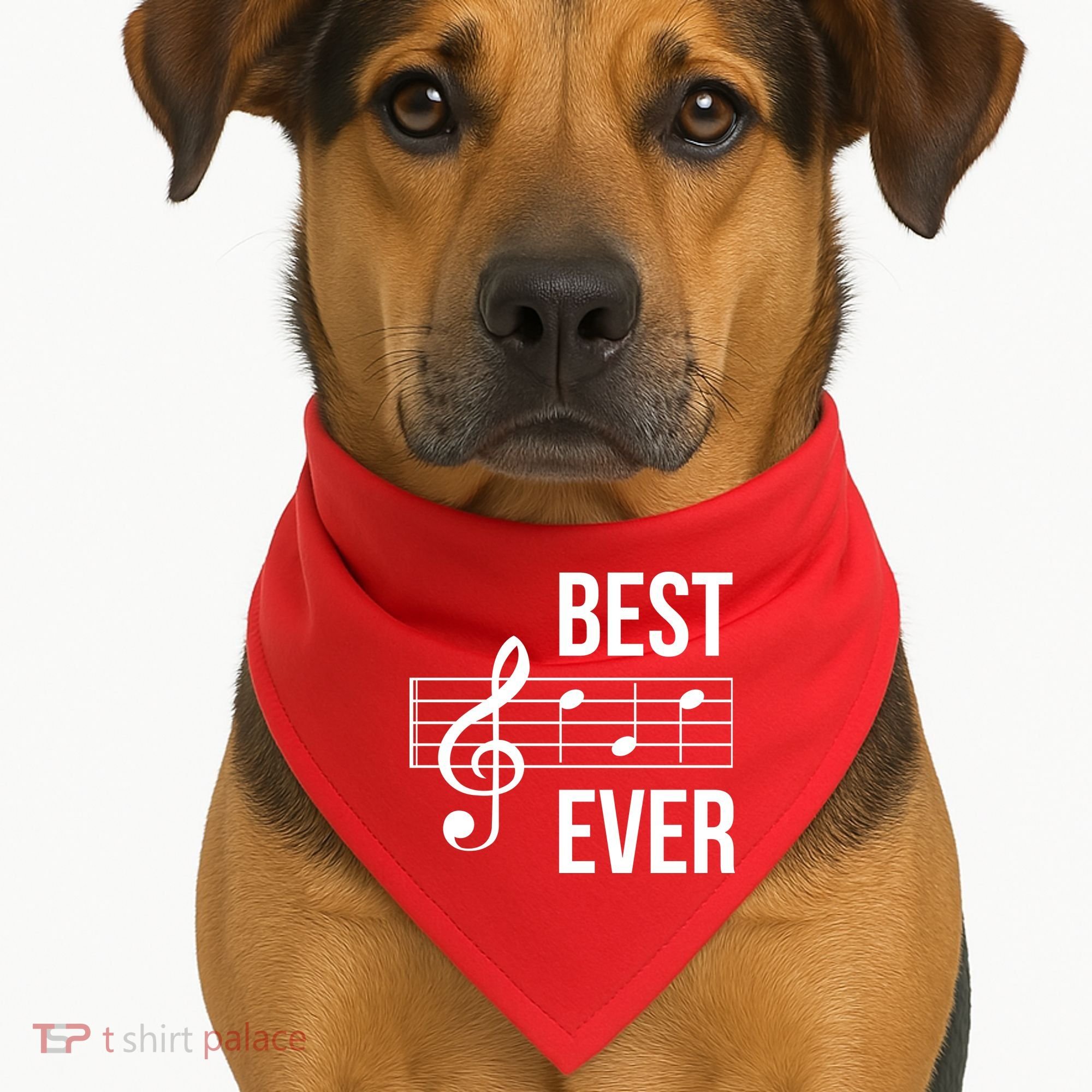 Best Music Ever USA-Made Doggie Bandana