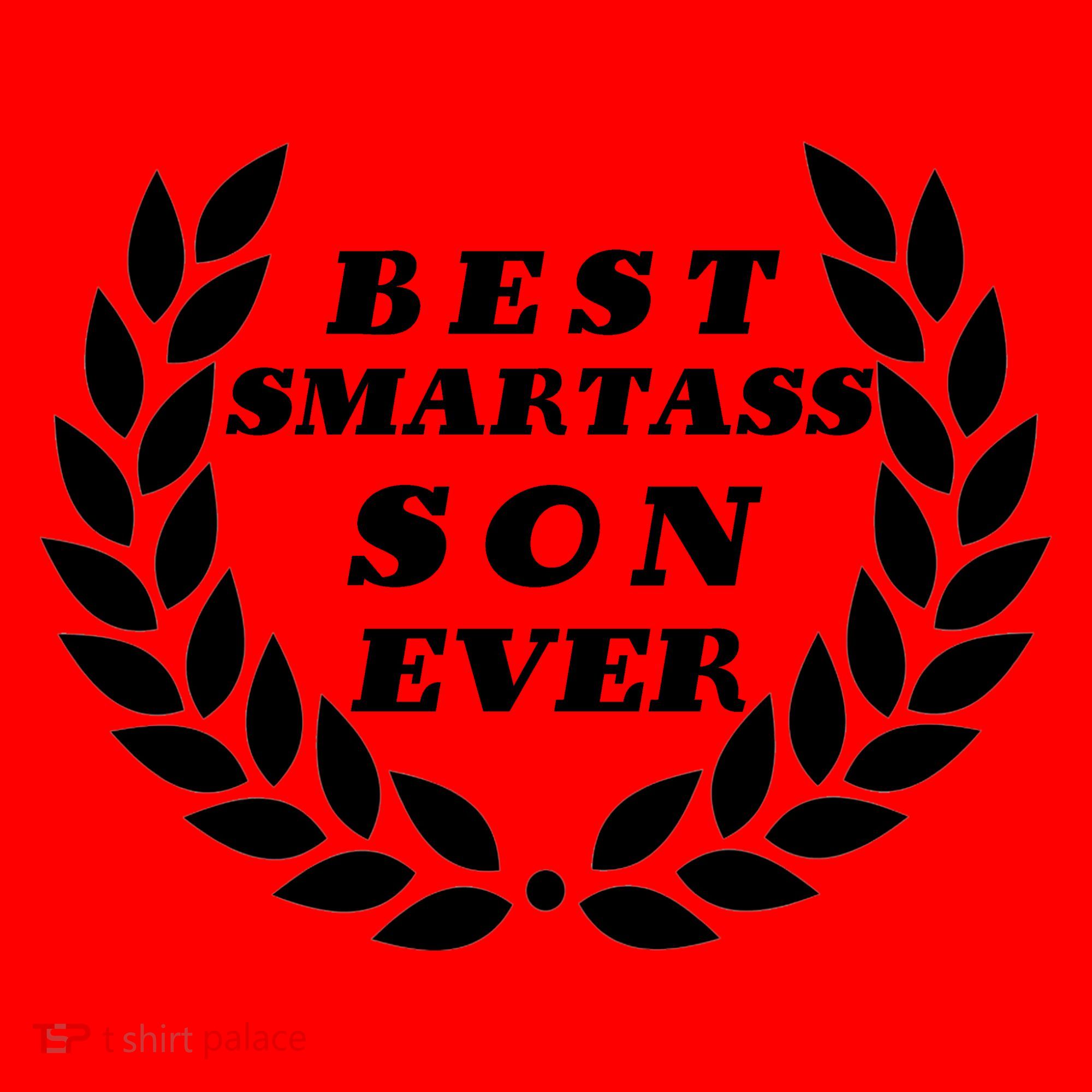 Best Smartass Son Ever Santa Hat