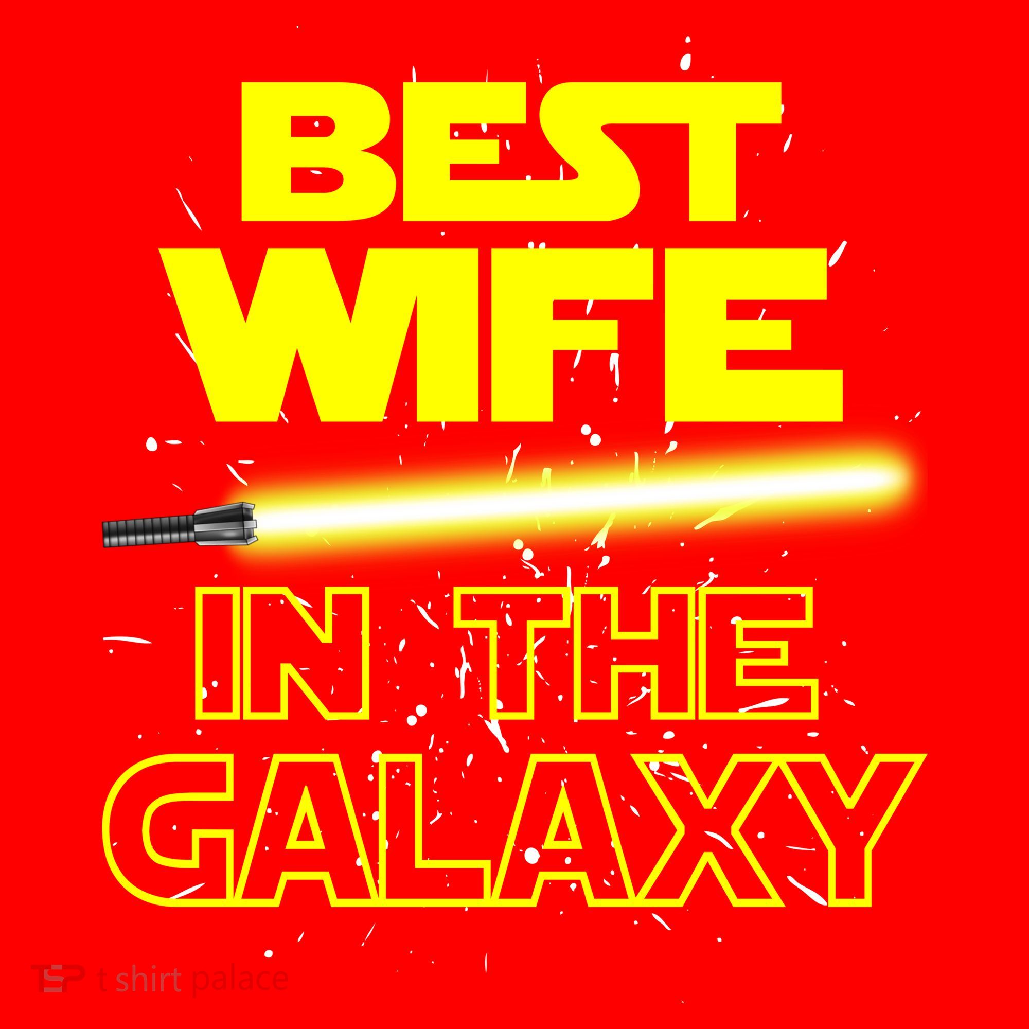 Best Wife In The Galaxy Santa Hat