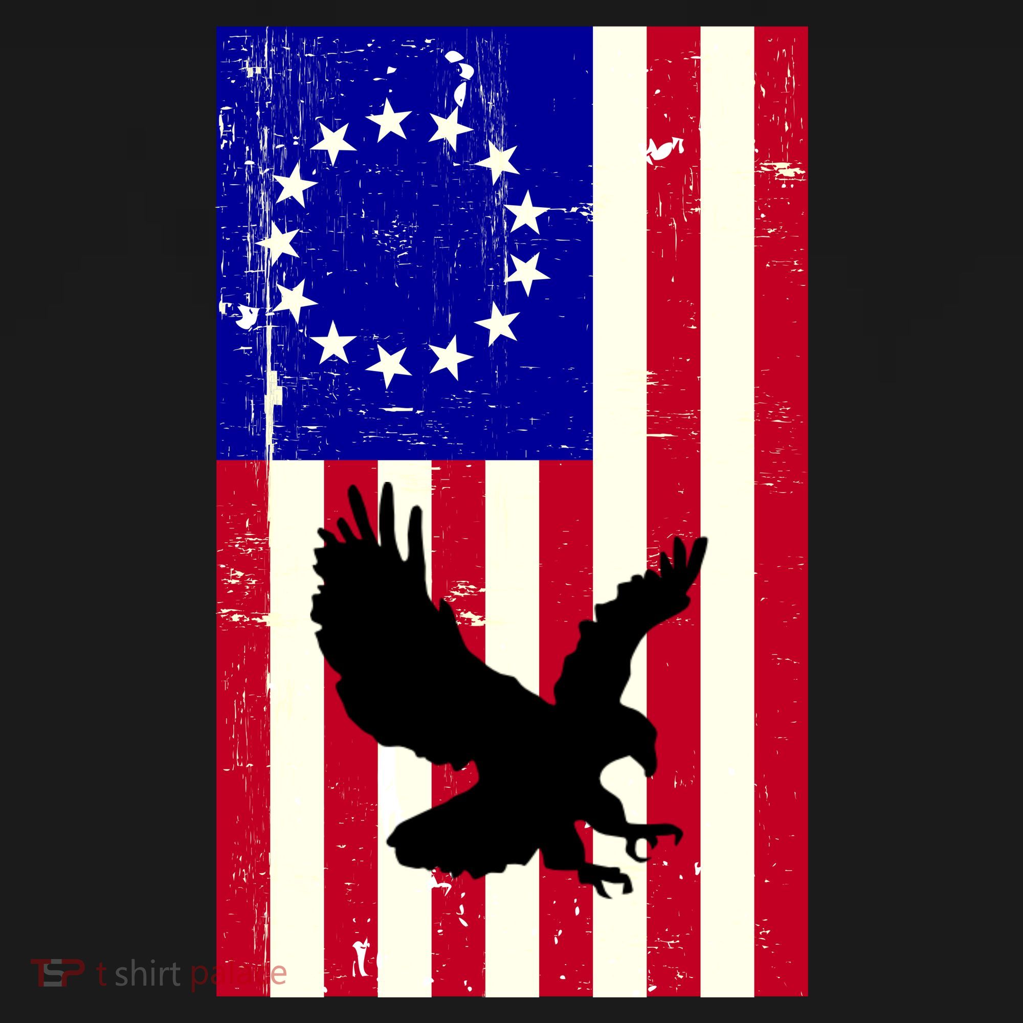 Betsy Ross 4th Of July American Flag Women's T-Shirt