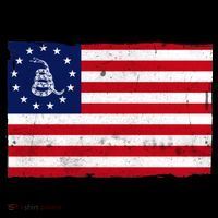 Betsy Ross Don't Tread On Me Flag Toddler Hoodie thumb 2