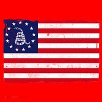 Betsy Ross Don't Tread On Me Flag Santa Hat thumb 1