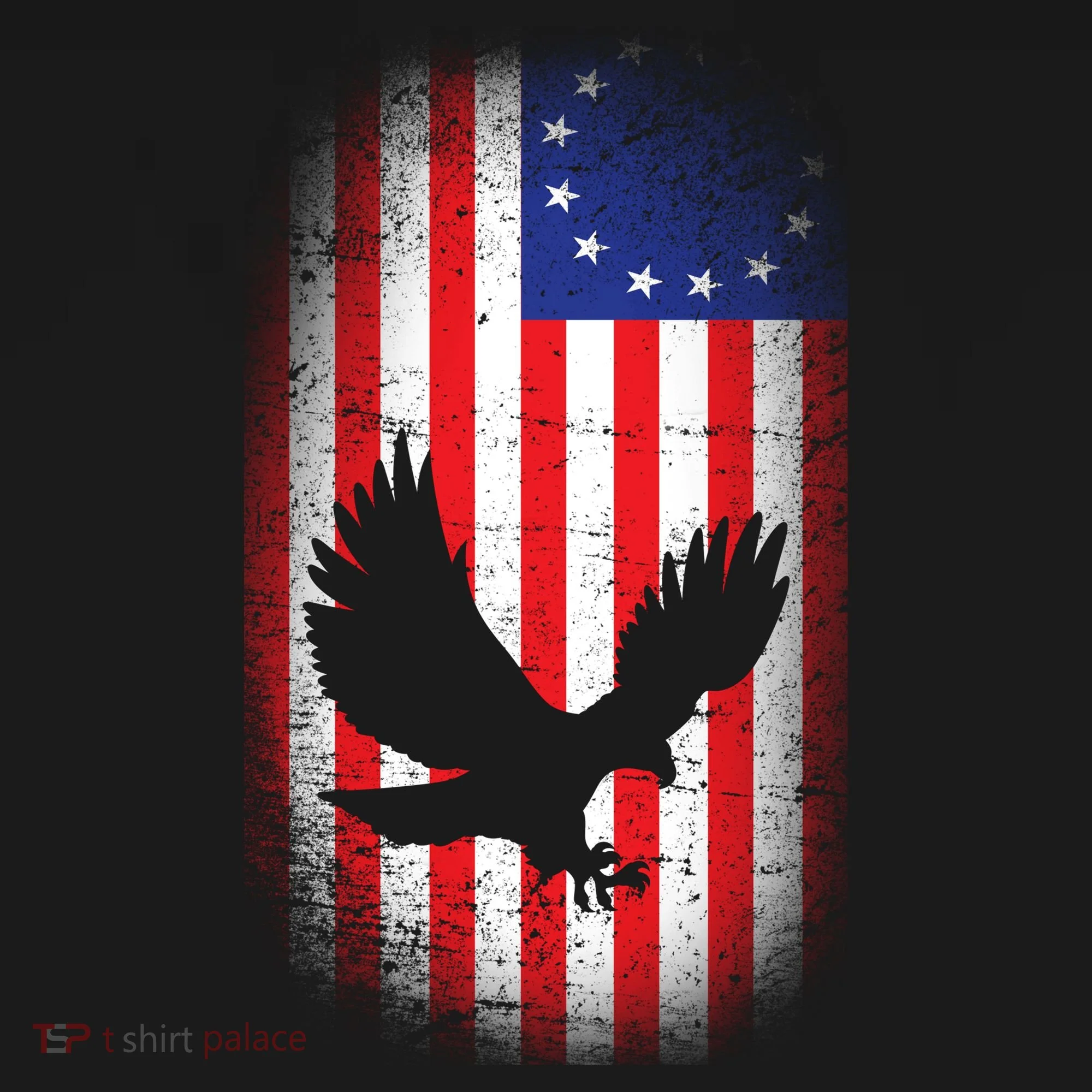 Betsy Ross Flag 13 Colonies Bald Eagle Apron