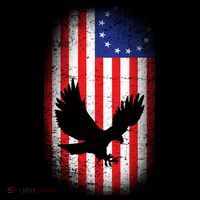 Betsy Ross Flag 13 Colonies Bald Eagle Coaster thumb 2