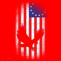 Betsy Ross Flag 13 Colonies Bald Eagle Santa Hat thumb 1
