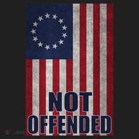 Betsy Ross Flag Not Offended 13 Stars For Protesters Women's Sweatshirt thumb 2
