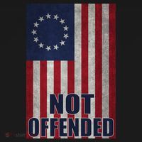 Betsy Ross Flag Not Offended 13 Stars For Protesters Ornament thumb 1