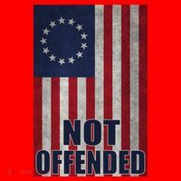 Betsy Ross Flag Not Offended 13 Stars For Protesters Santa Hat thumb 1
