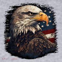Bald Eagle Us American Flag 4th Of July Proud Patriotic Women's Sweatshirt thumb 2