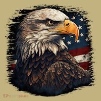 Bald Eagle Us American Flag 4th Of July Proud Patriotic T-Shirt thumb 7