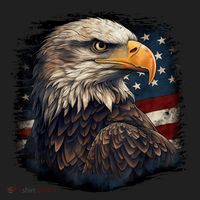 Bald Eagle Us American Flag 4th Of July Proud Patriotic Women's Sweatshirt thumb 2