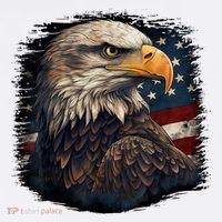 Bald Eagle Us American Flag 4th Of July Proud Patriotic Women's Hoodie thumb 2
