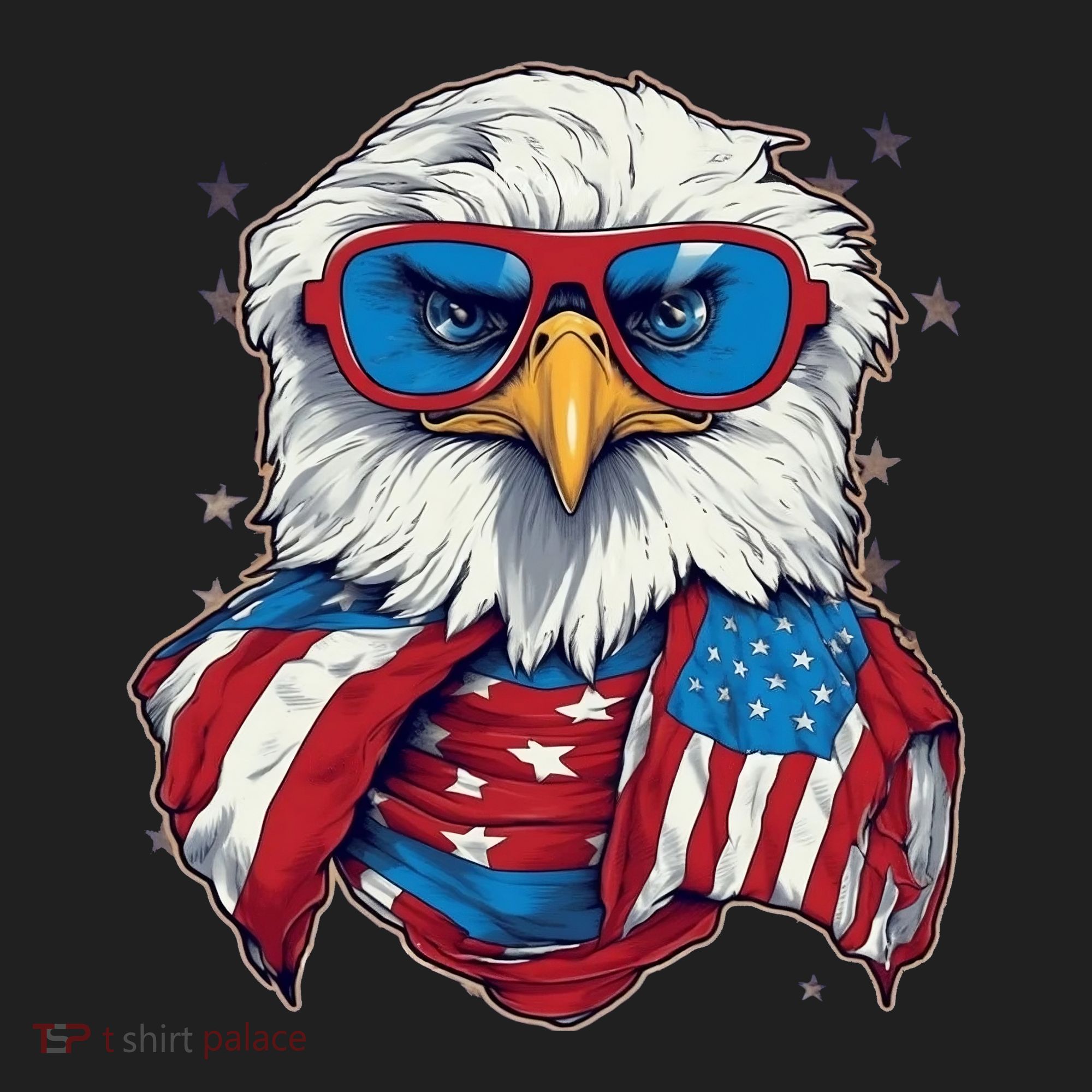 Bald Eagle With American Flag IA Women's Sweatshirt