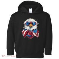 Bald Eagle With American Flag IA Toddler Hoodie thumb 0