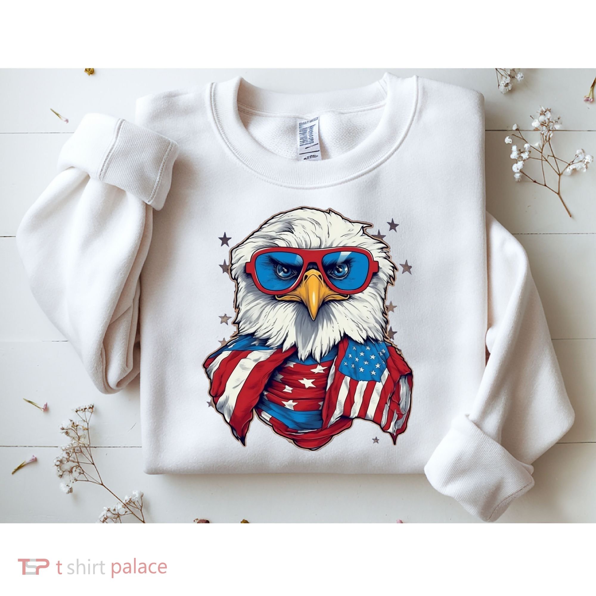Bald Eagle With American Flag IA Sweatshirt