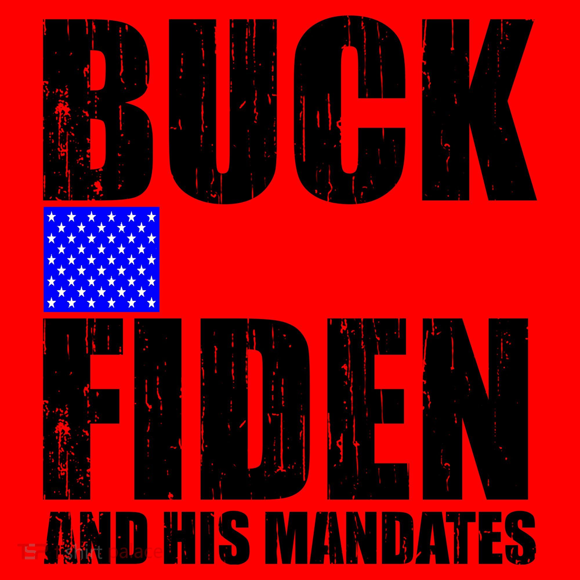 Buck Fiden And His Mandates Santa Hat