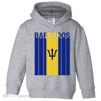 Barbados Flag Toddler Hoodie thumb 0