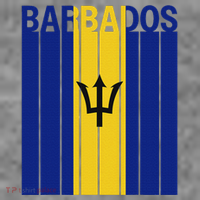 Barbados Flag Toddler Hoodie thumb 2