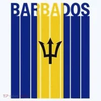 Barbados Flag Hoodie thumb 2