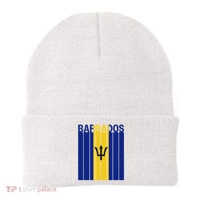 Barbados Flag Beanie