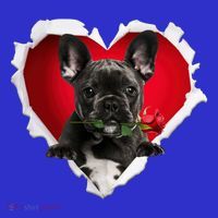 Black French Bulldog Dog Rose Heart Valentines Day Couple Gift T-Shirt thumb 7