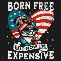 Born Free But Now IM Expensive Funny Mom Bun Cat July 4th Women's Hoodie thumb 2