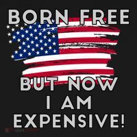 Born Free But Now I Am Expensive Funny Ornament thumb 1