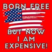 Born Free But Now I Am Expensive Funny Santa Hat thumb 1