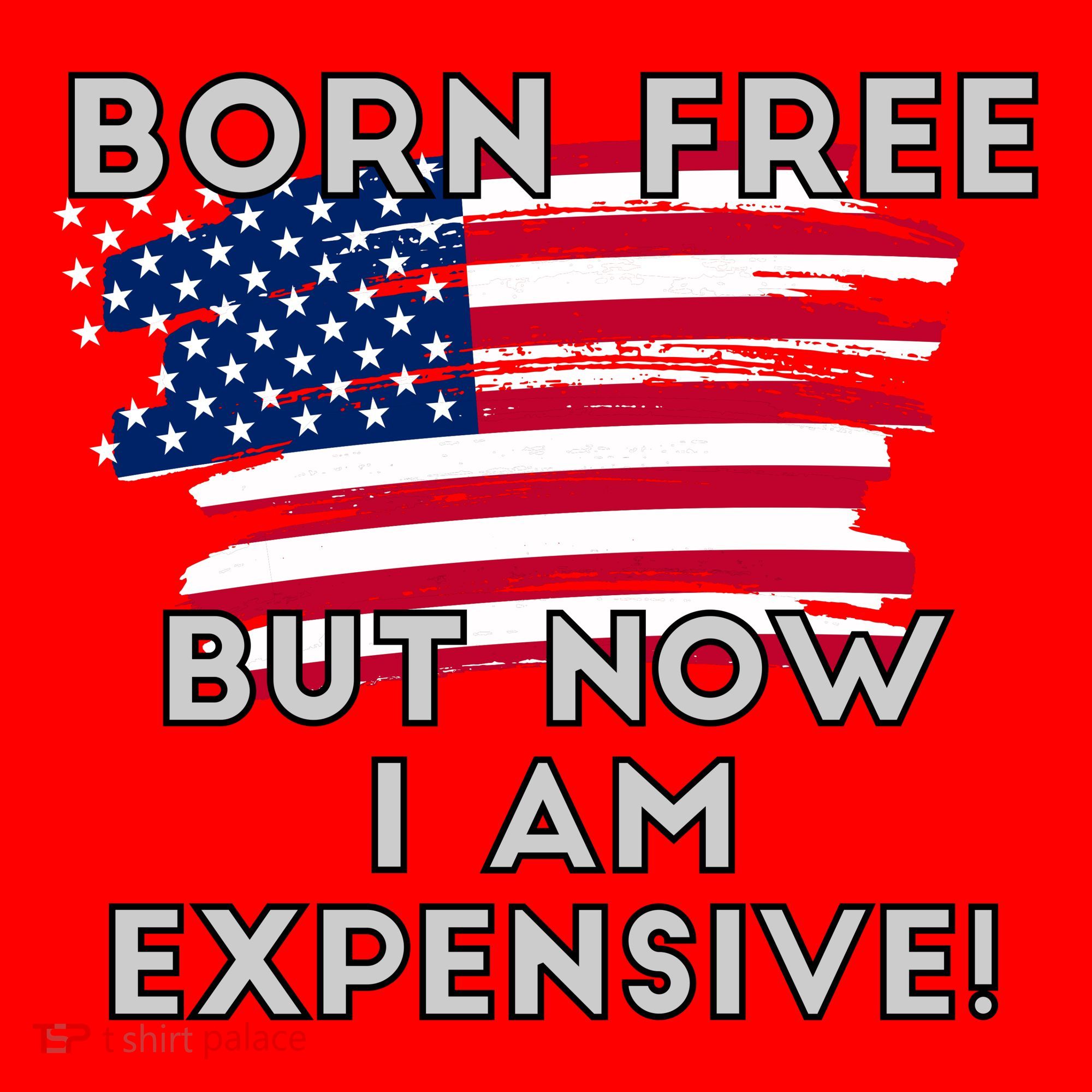 Born Free But Now I Am Expensive Funny Santa Hat