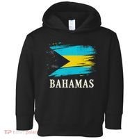 Bahamas Flag Bahamas Vacation Toddler Hoodie thumb 0