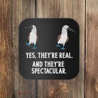 Blue Footed Booby Seabird Boobies Coaster thumb 0