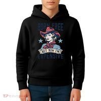 Born Free But Now IM Expensive 4th Of July Kids Hoodie thumb 4