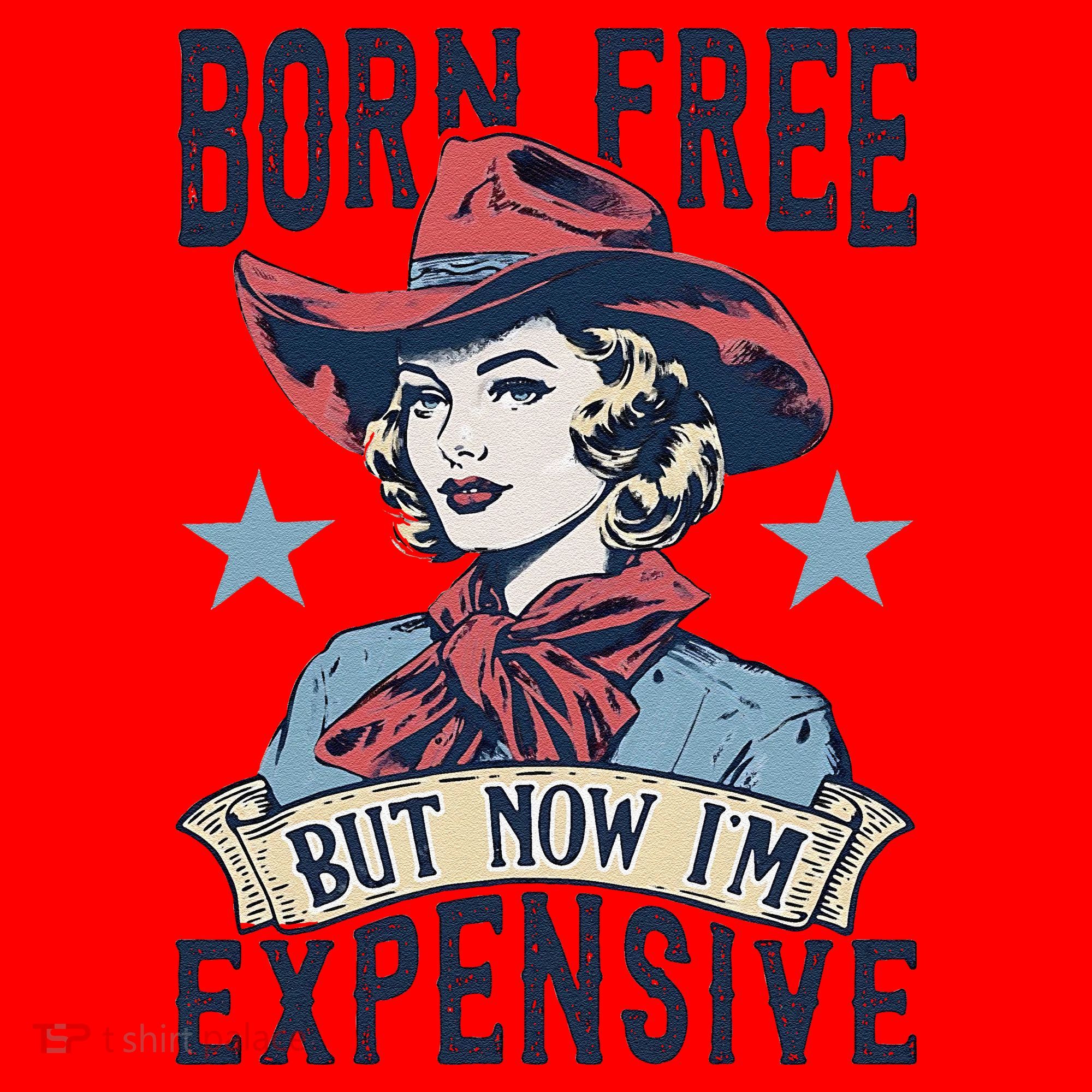 Born Free But Now IM Expensive 4th Of July Santa Hat