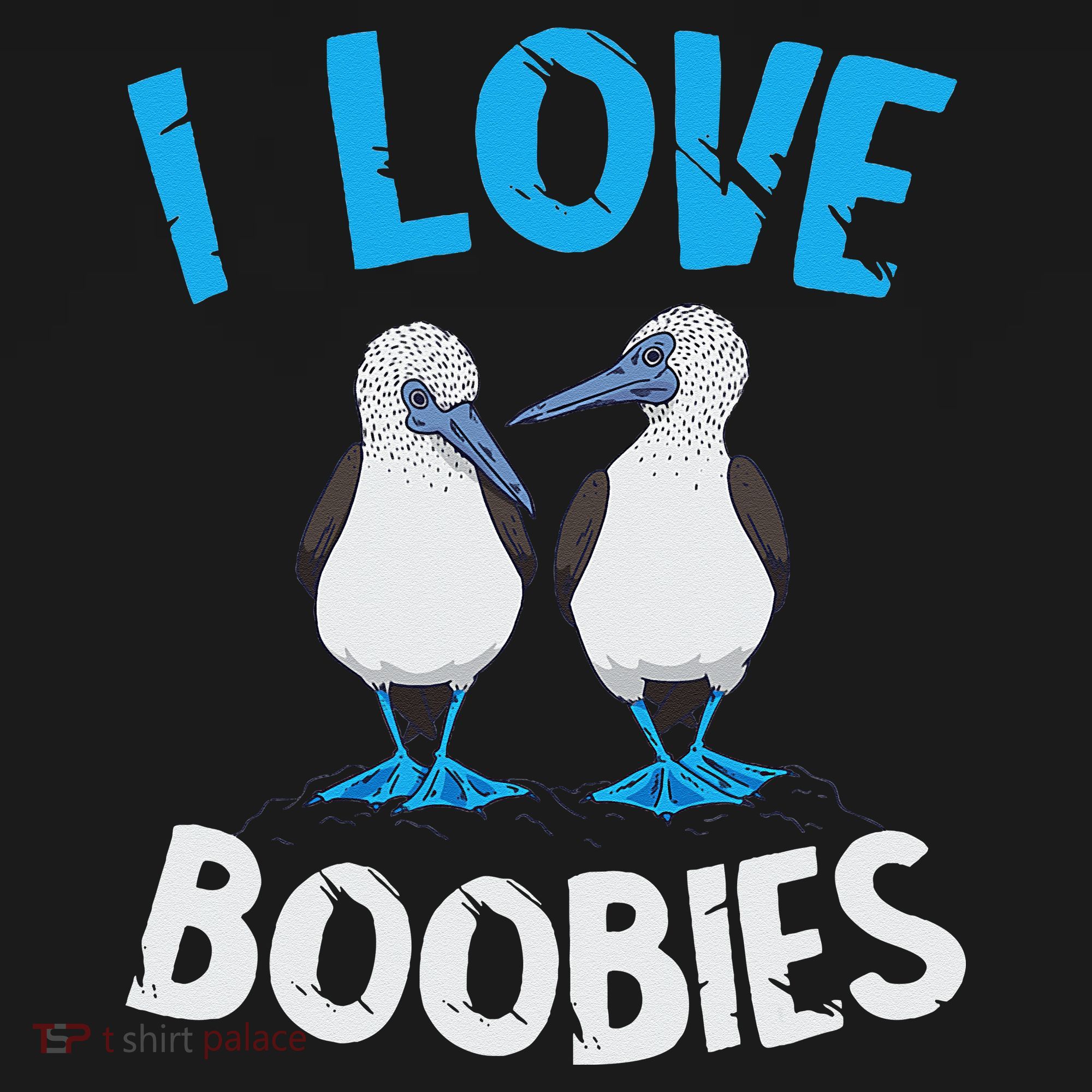 Blue Footed Booby I Love Boobies Blue Footed Booby Lover Women's Hoodie