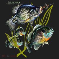 Black Fly Crappie Bluegill Fishing Panfish Flies Jig Beanie thumb 2
