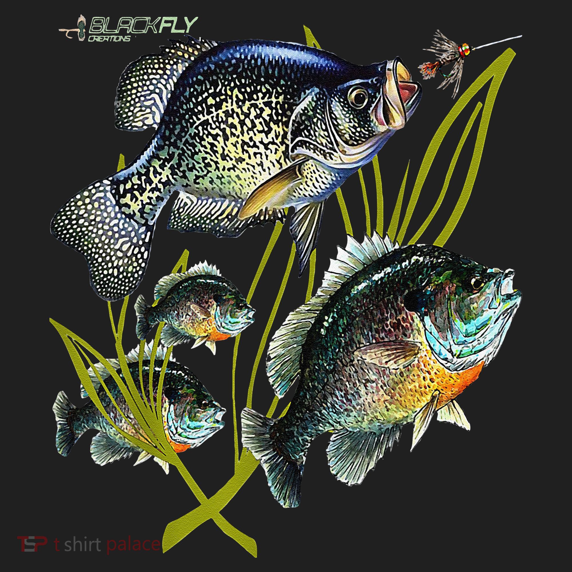 Black Fly Crappie Bluegill Fishing Panfish Flies Jig Hat