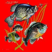 Black Fly Crappie Bluegill Fishing Panfish Flies Jig Santa Hat thumb 1
