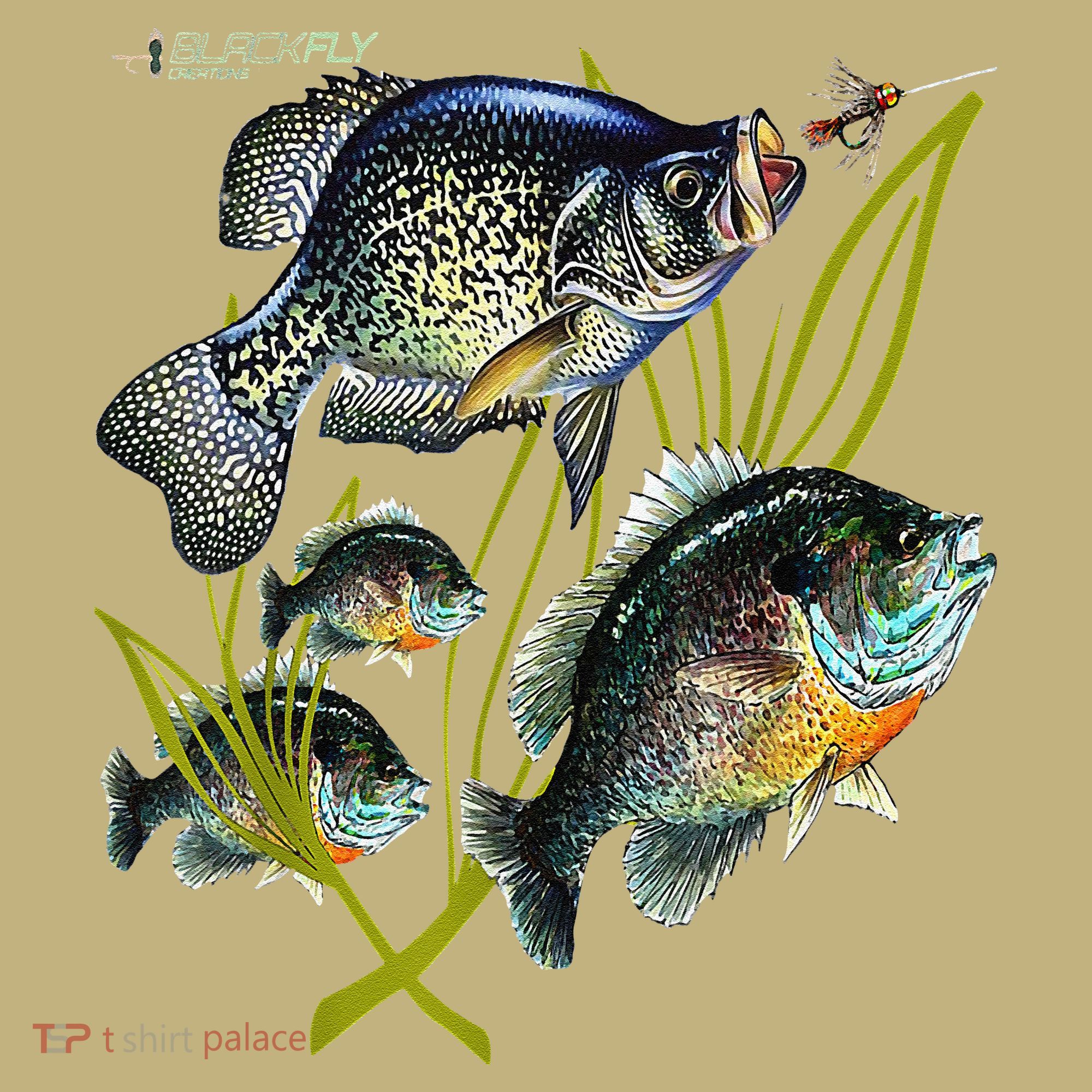 Black Fly Crappie Bluegill Fishing Panfish Flies Jig T-Shirt