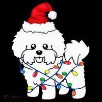 Bichon Frise Christmas Light Funny Dog Lover Gift Women's Hoodie thumb 2