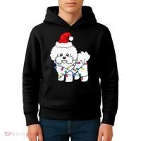 Bichon Frise Christmas Light Funny Dog Lover Gift Kids Hoodie thumb 4